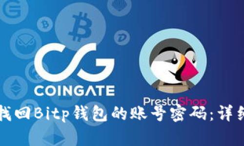 如何找回Bitp钱包的账号密码：详细指南