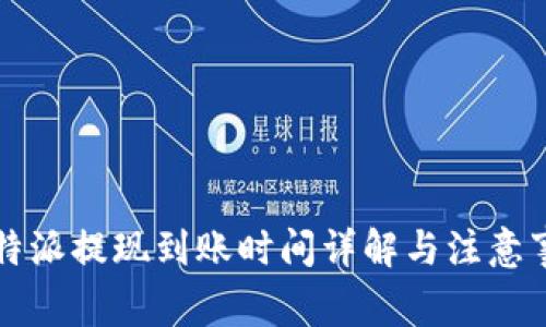 比特派提现到账时间详解与注意事项