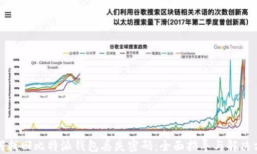 
如何找回比特派钱包丢失密码：全面指导与解决方案
