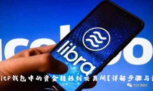 如何将BitP钱包中的资金转移到交易所？详解步骤与注意事项