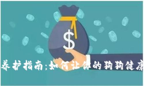 狗比养护指南：如何让你的狗狗健康快乐