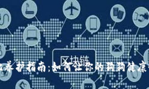 狗比养护指南：如何让你的狗狗健康快乐