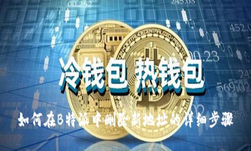 如何在B特派中删除新地址的详细步骤