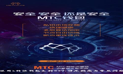 如何使用b特派钱包支持BSV：详尽指南与常见问题解答