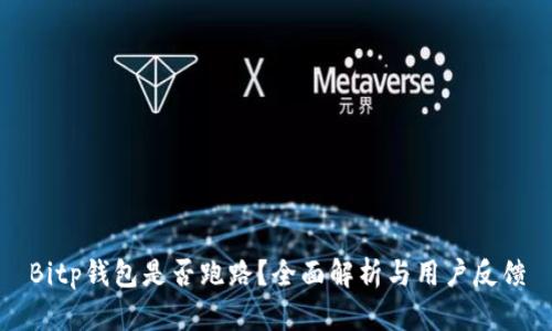 Bitp钱包是否跑路？全面解析与用户反馈