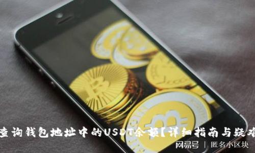 如何查询钱包地址中的USDT余额？详细指南与疑难解答