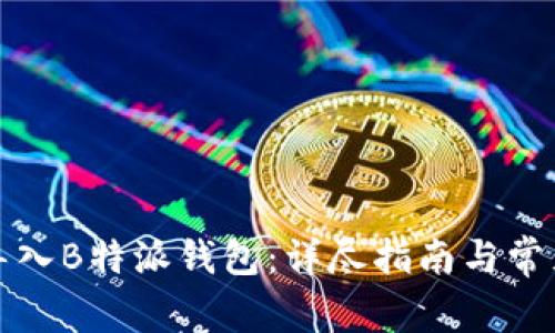如何成功导入B特派钱包：详尽指南与常见问题解答