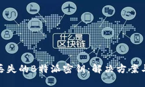 如何找回丢失的B特派密钥：解决方案与预防措施