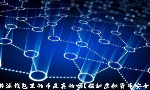 
b特派钱包里的币是真的吗？揭秘虚拟货币安全性