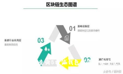 如何通过官方网站查询B特派钱包信息及安全使用指南