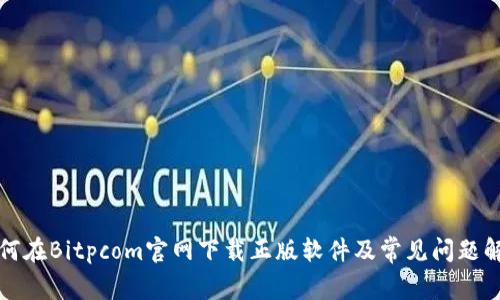 如何在Bitpcom官网下载正版软件及常见问题解答