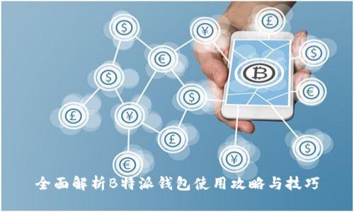 全面解析B特派钱包使用攻略与技巧