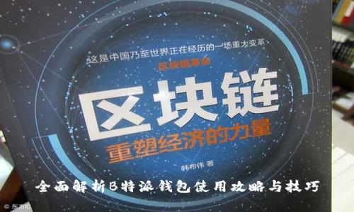 全面解析B特派钱包使用攻略与技巧