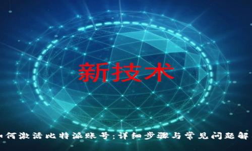 如何激活比特派账号：详细步骤与常见问题解答
