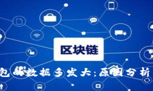  以太坊钱包的数据多发大：原因分析与未来展望