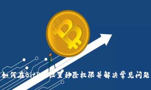 如何在BitP上设置移除权限并解决常见问题