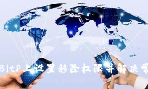 如何在BitP上设置移除权限并解决常见问题