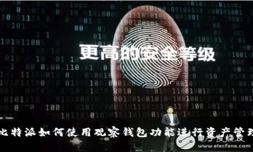 比特派如何使用观察钱包功能进行资产管理