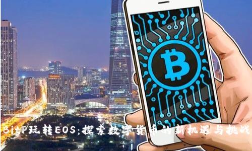 BitP玩转EOS：探索数字货币的新机遇与挑战