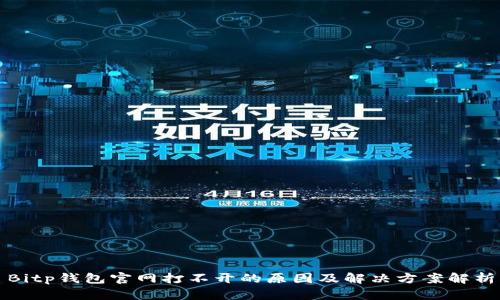 Bitp钱包官网打不开的原因及解决方案解析