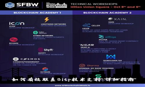 如何有效联系Bitp技术支持：详细指南