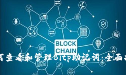 如何查看和管理Bitp助记词：全面指南