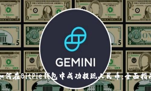 如何在BitPie钱包中成功提现人民币：全面指南