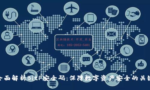 全面解析BitP安全码：保障数字资产安全的关键