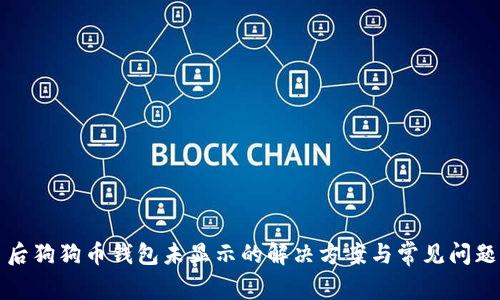 提币后狗狗币钱包未显示的解决方案与常见问题解析