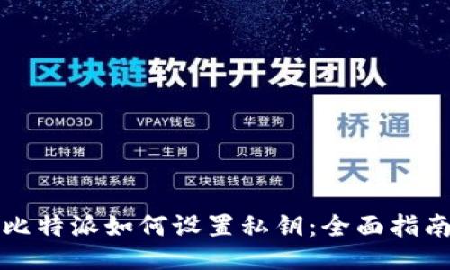 比特派如何设置私钥：全面指南