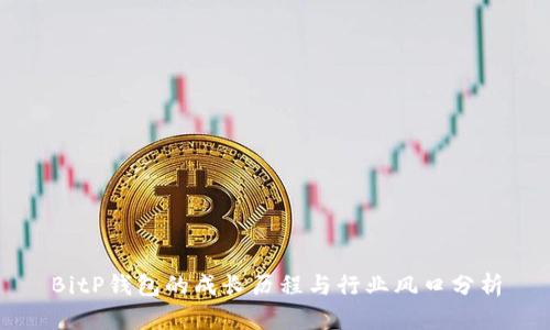BitP钱包的成长历程与行业风口分析