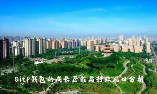 BitP钱包的成长历程与行业风口分析