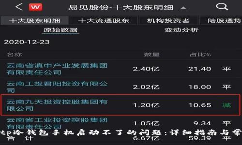 如何解决Bitp冷钱包手机启动不了的问题：详细指南与常见问题解答