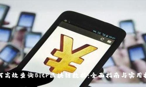 如何高效查询BitP区块链数据：全面指南与实用技巧