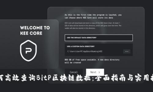如何高效查询BitP区块链数据：全面指南与实用技巧