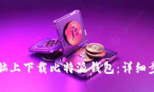 如何在电脑上下载比特派钱包：详细步骤与指南