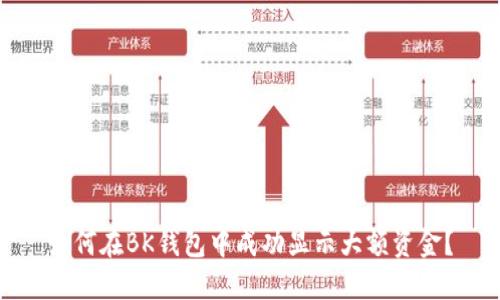 如何在BK钱包中成功显示大额资金？