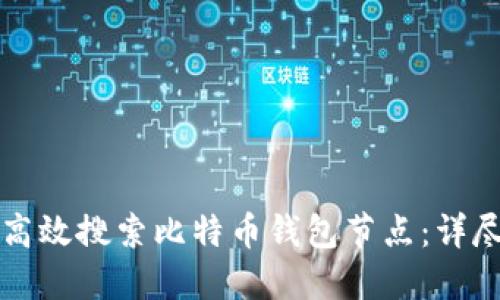 如何高效搜索比特币钱包节点：详尽指南