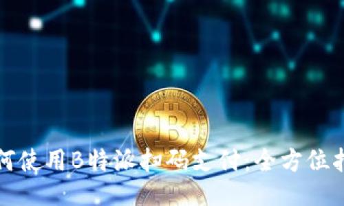 如何使用B特派扫码支付：全方位指南