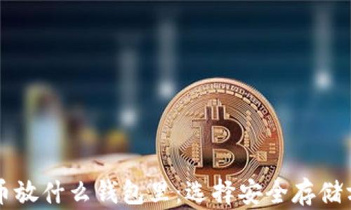 
买了比特币放什么钱包里：选择安全存储方案的指南