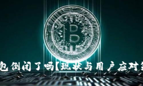  b特派钱包倒闭了吗？现状与用户应对策略分析 