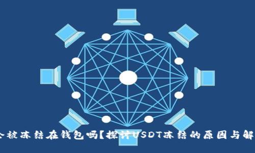 USDT会被冻结在钱包吗？探讨USDT冻结的原因与解决方案