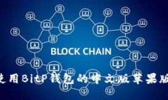 如何下载与使用BitP钱包的中文版苹果版：一站式