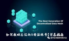如何找回忘记的B特派账号？详尽指南