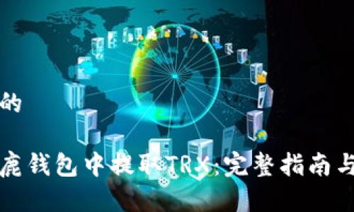 思考一个的

如何在公鹿钱包中提取TRX：完整指南与最佳实践