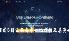 解析B特派的去中心化特性及其影响