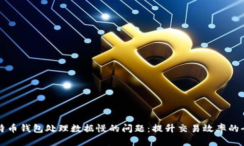 解决比特币钱包处理数据慢的问题：提升交易效率的全面指南