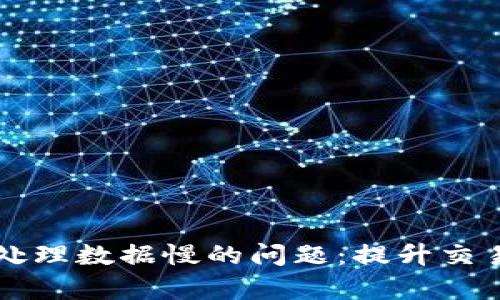 解决比特币钱包处理数据慢的问题：提升交易效率的全面指南