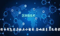 比特币钱包程序的大小解析：影响因素与选择指