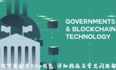 如何下载安装Bitp钱包：详细指南与常见问题解答